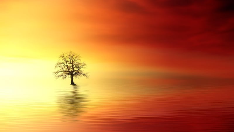 Mindfulness Image